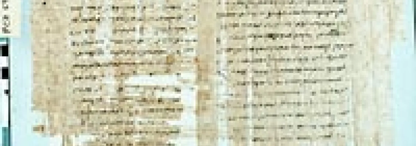 papyrus