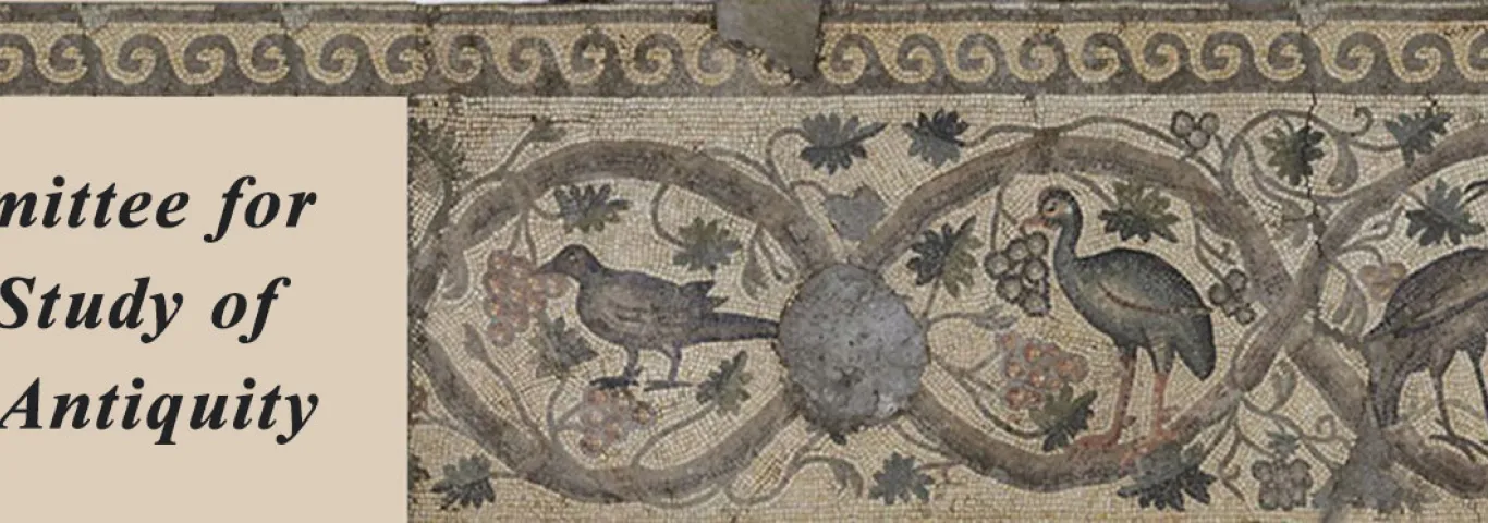 Banner image showing late antique mosaic