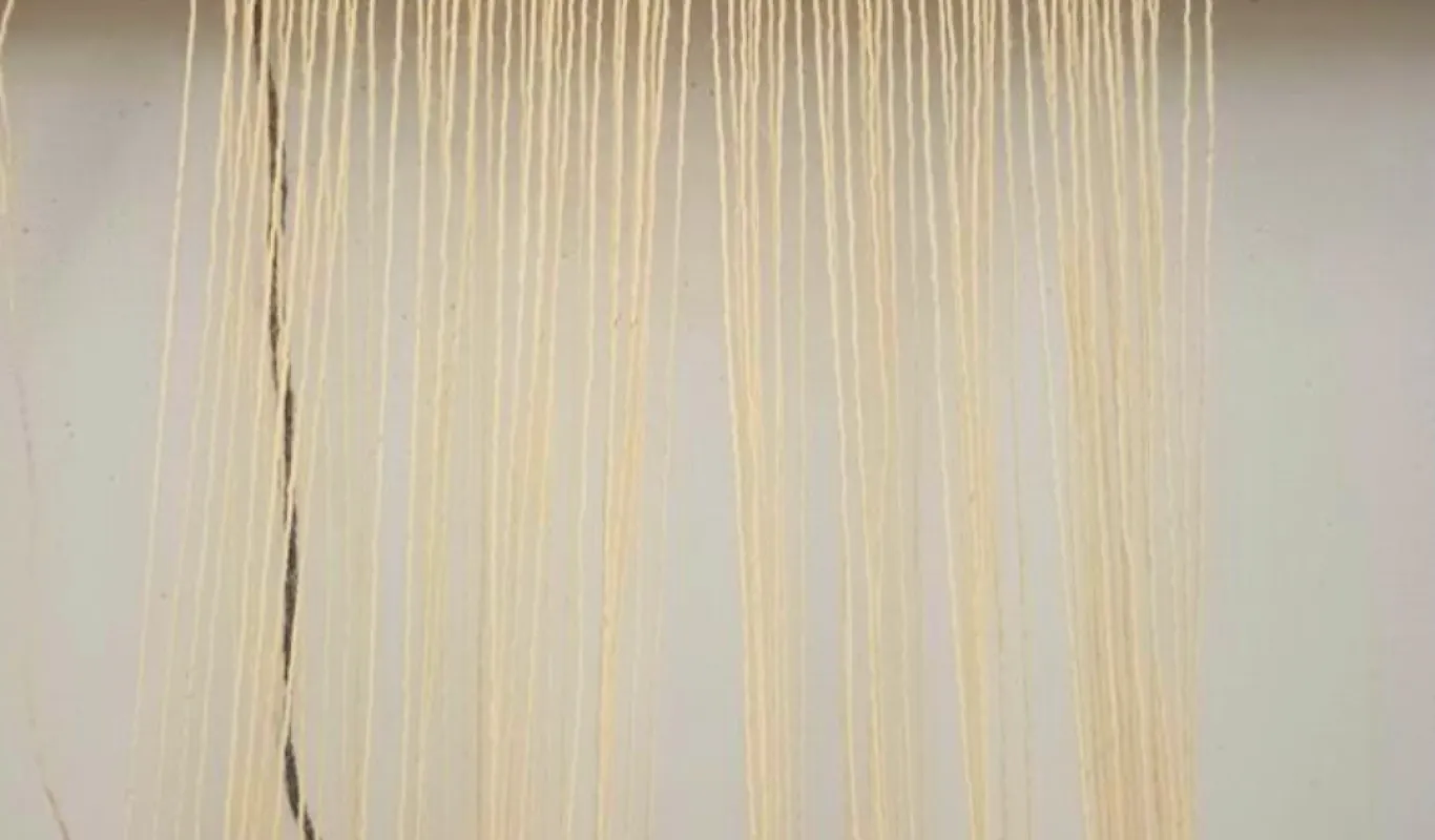 Reviving Ancient Threads: WashU Students Weave the Past into the ...