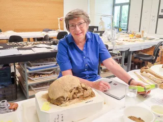 Liston studying a skull