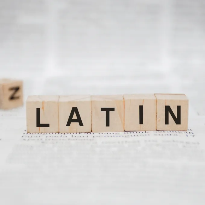 block letters spelling Latin