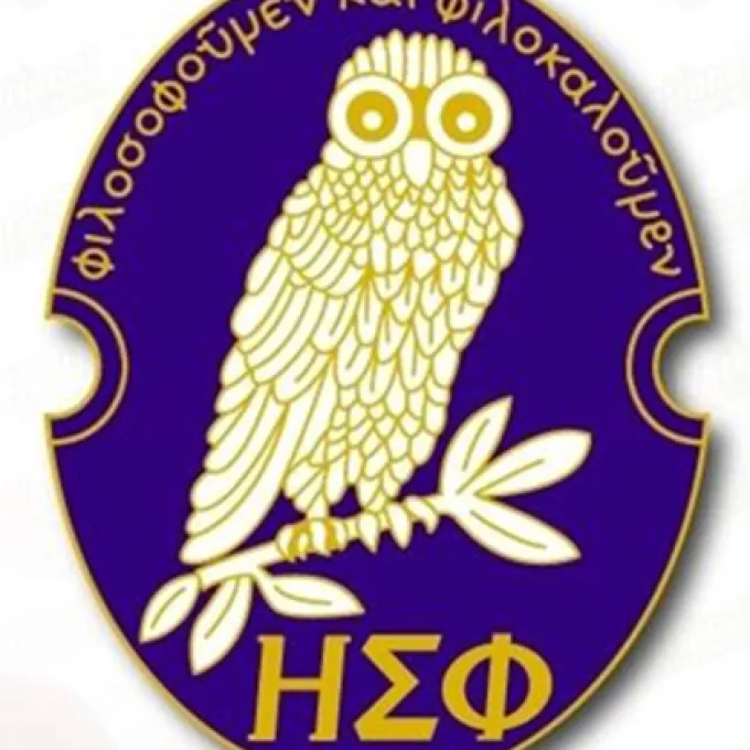 a blue lapel pin depicting an owl perched on a  branch